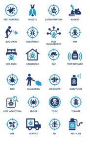 pest control contact us