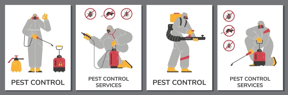 pest-control-services beg bugs pest control